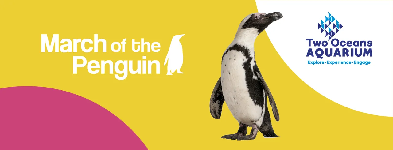 Become a member in march and you could win prizes worth r10 000!