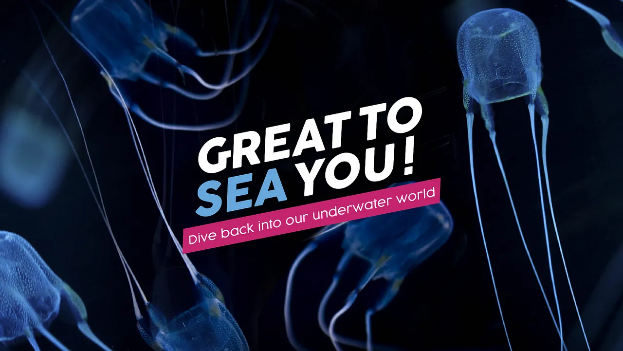 The two oceans aquarium is open again!