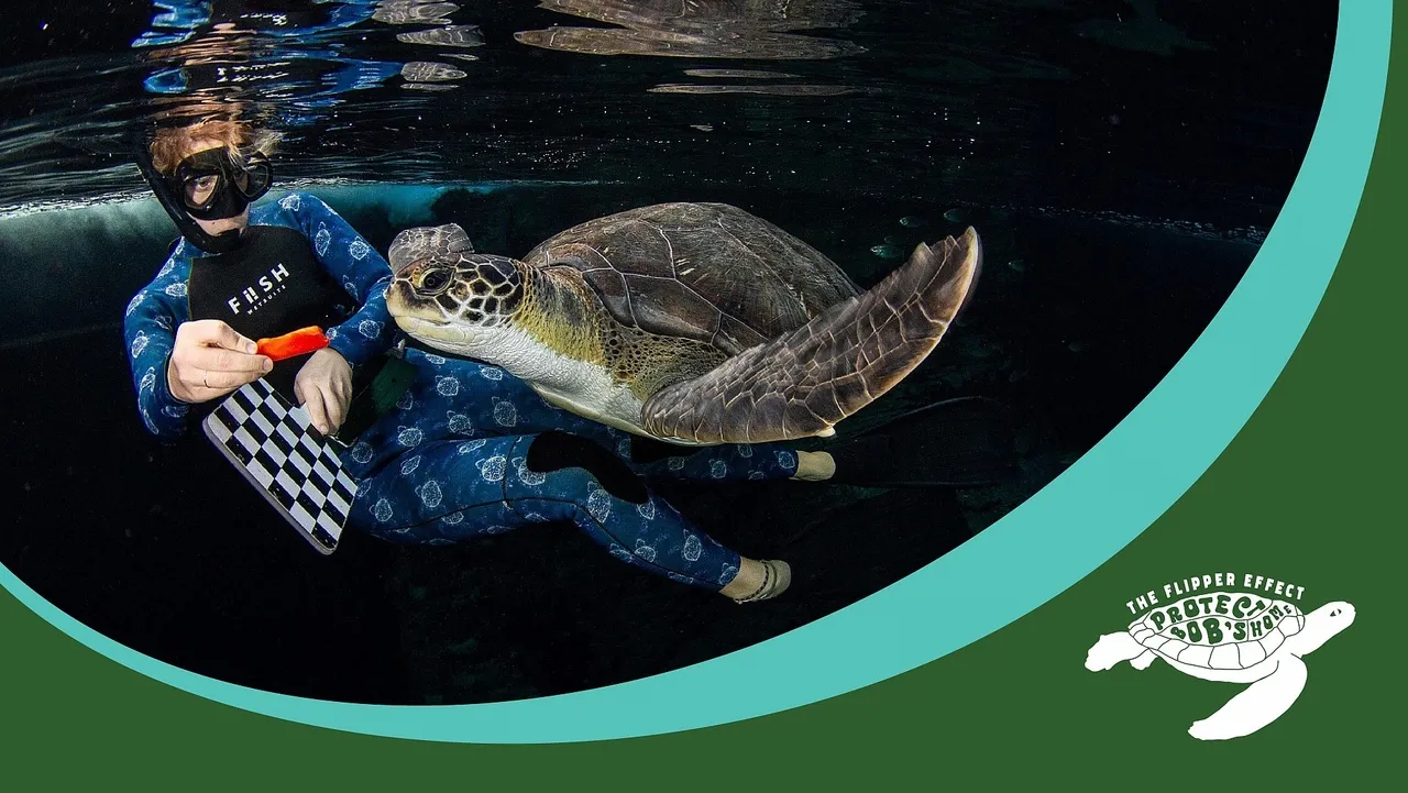 Environmental enrichment: The magic tool helping Bob return to the ocean