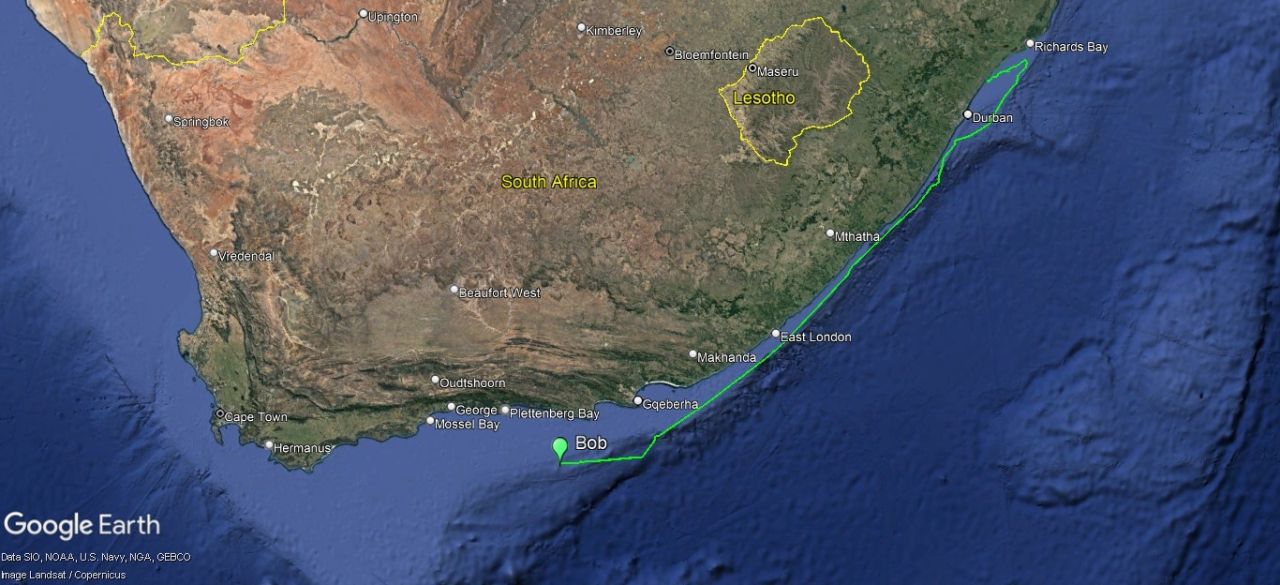 Tracking Bob: Cruising past Gqeberha