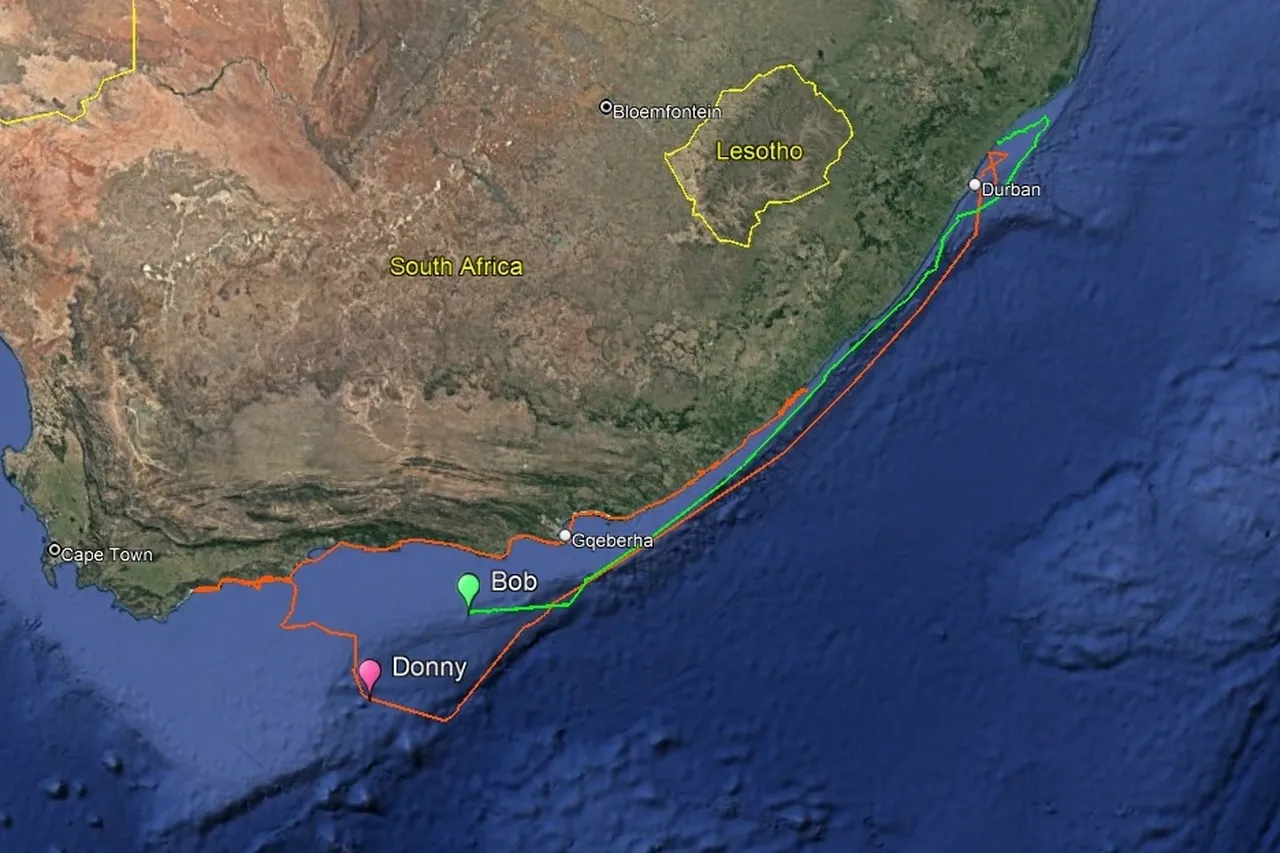 Bob and Donny 15 feb