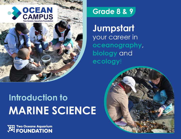 Two Oceans Aquarium Foundation Grade 8 & 9 Introduction to Marine… Two Oceans Aquarium Foundation Grade 8 & 9 Introduction to Marine…