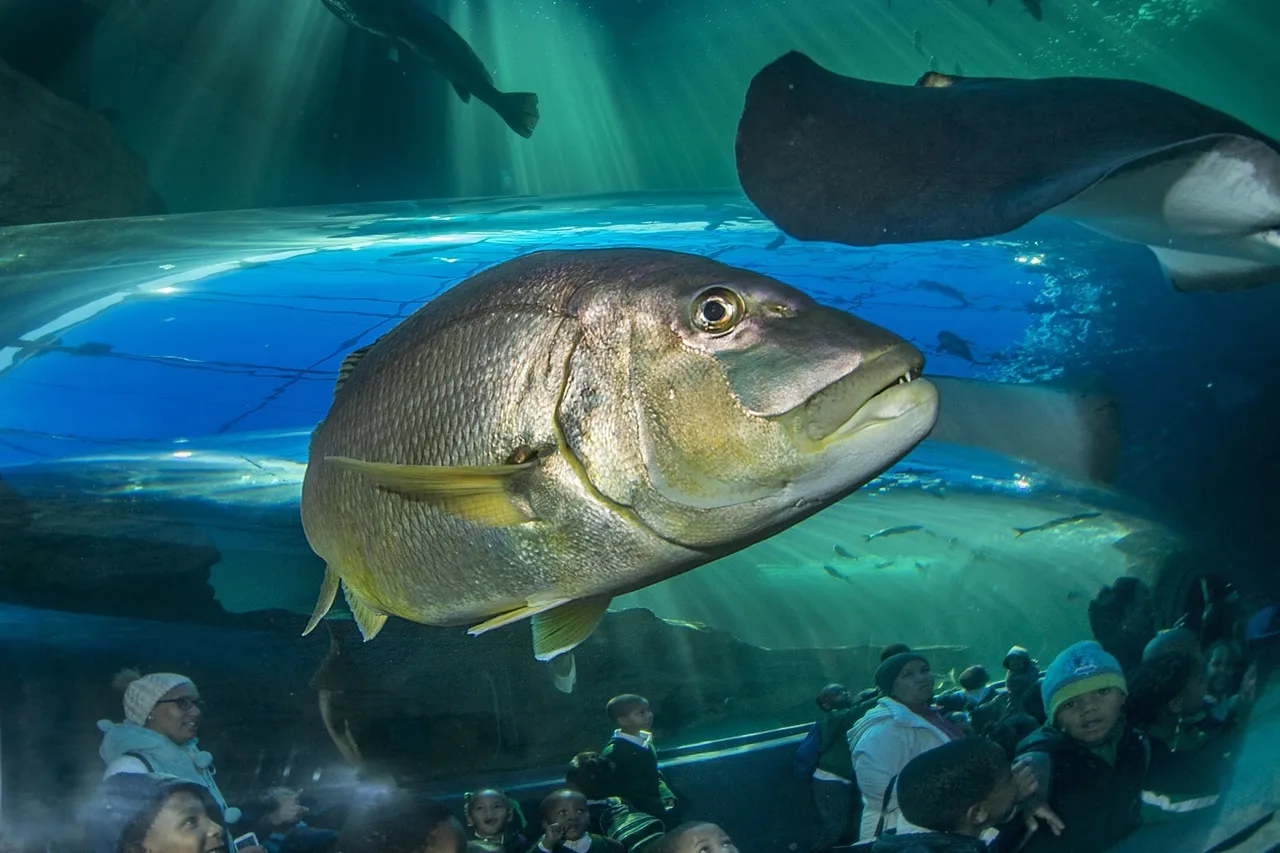 School children visit G Spiby