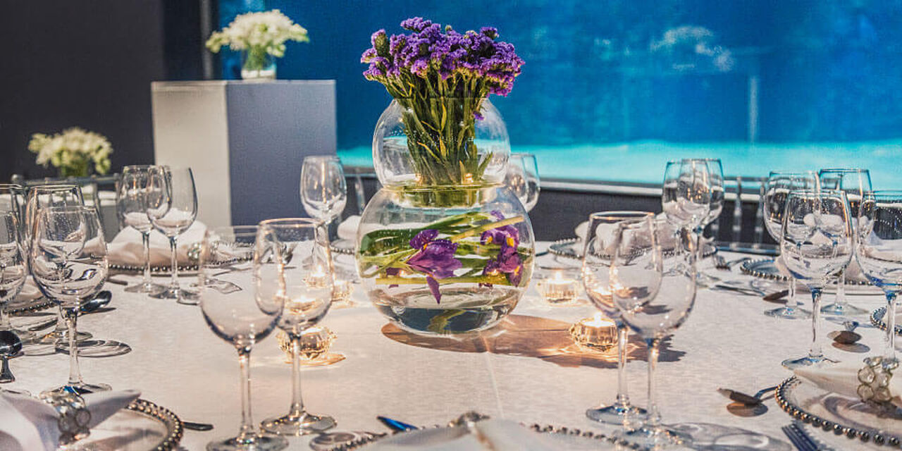 Weddings and engagements at the Two Oceans Aquarium