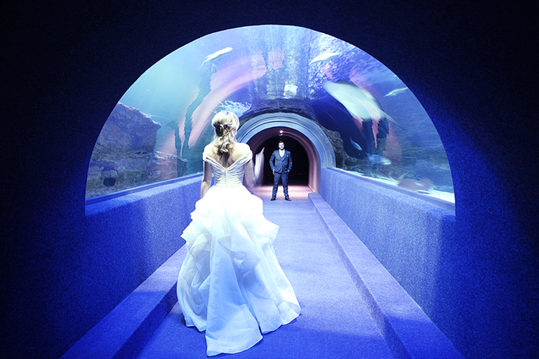 Weddings and engagements