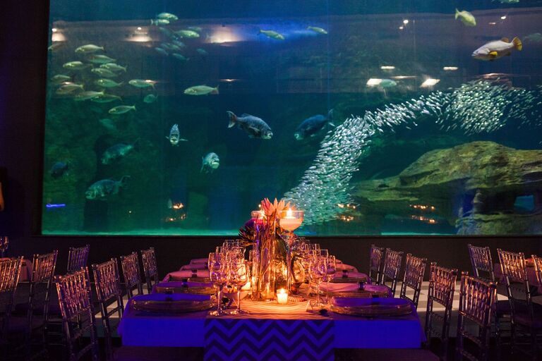 Weddings and engagements