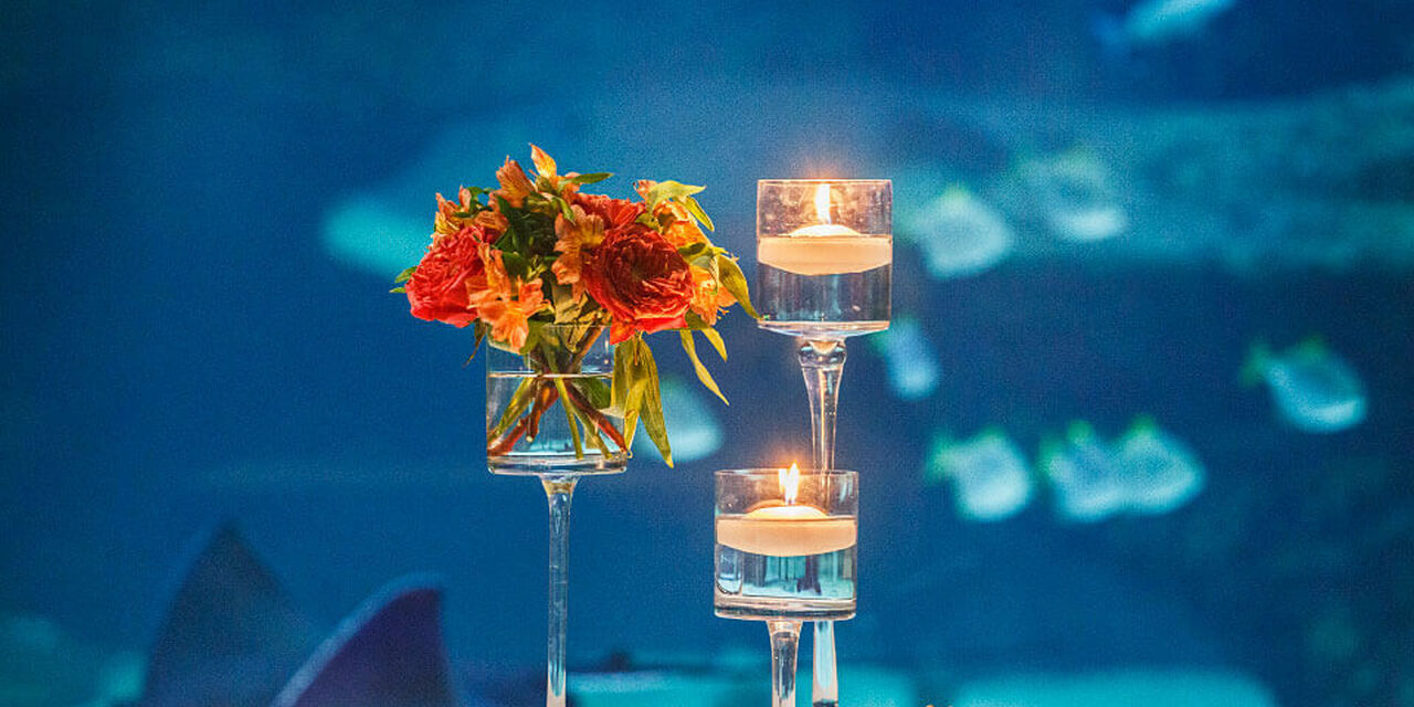 Private dinners and special occasions