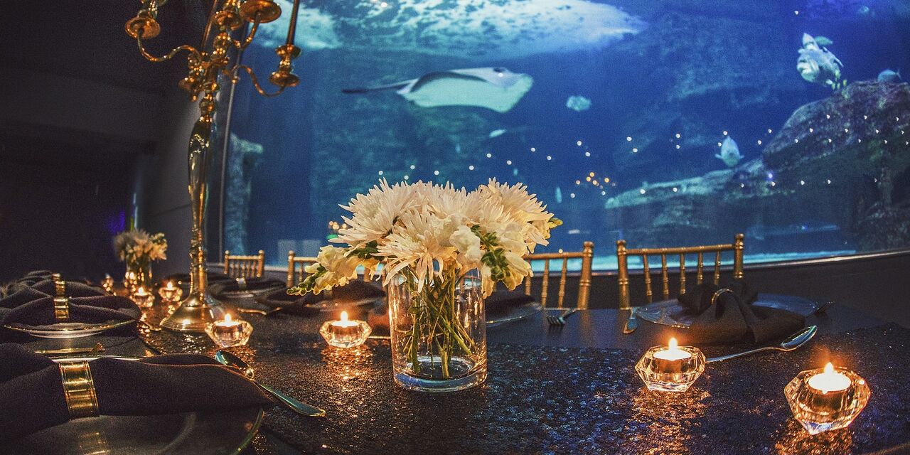 Year-end functions, gala dinners, and cocktail gatherings