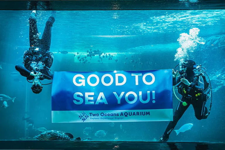 Conferences and meetings