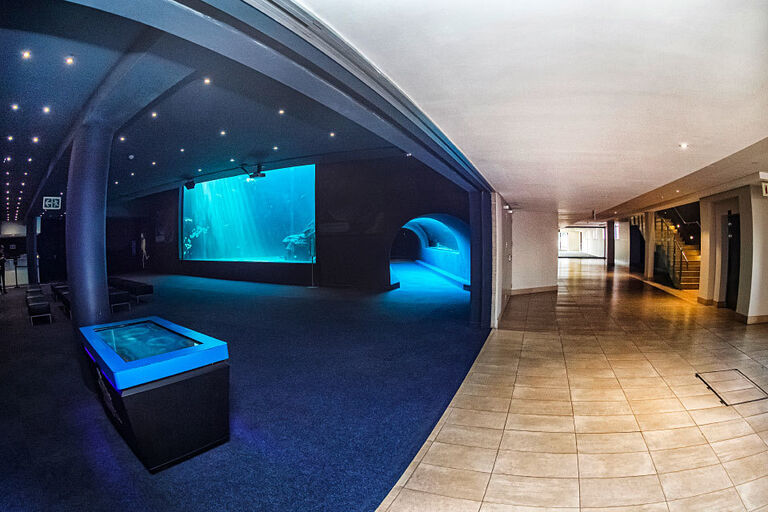 Conferences and meetings