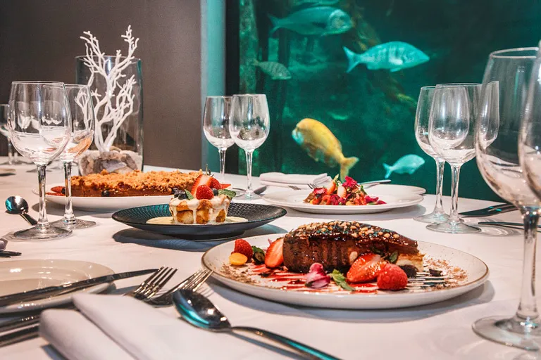 Eventing at the Two Oceans Aquarium