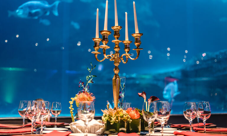 Eventing at the Two Oceans Aquarium