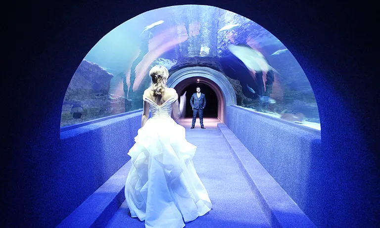 Eventing at the Two Oceans Aquarium