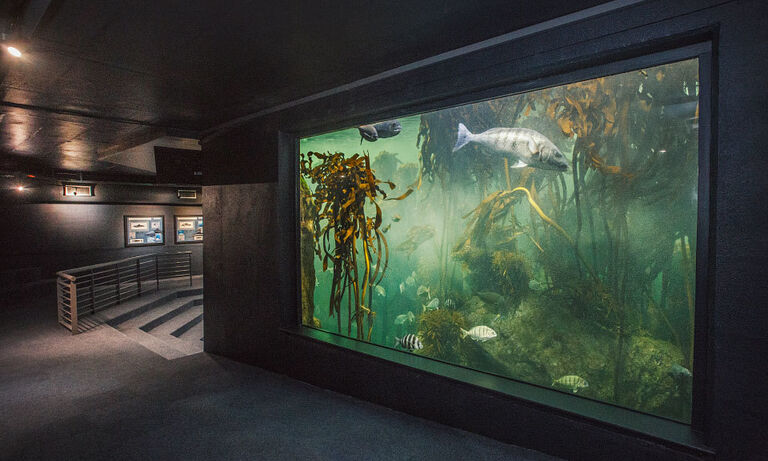 Weddings and engagements