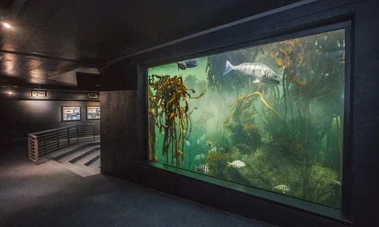 Conferences and meetings