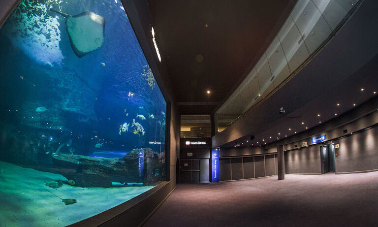 Weddings and engagements