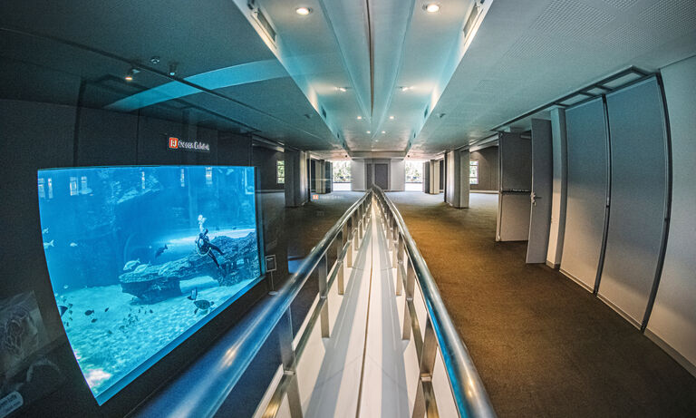 Weddings and engagements