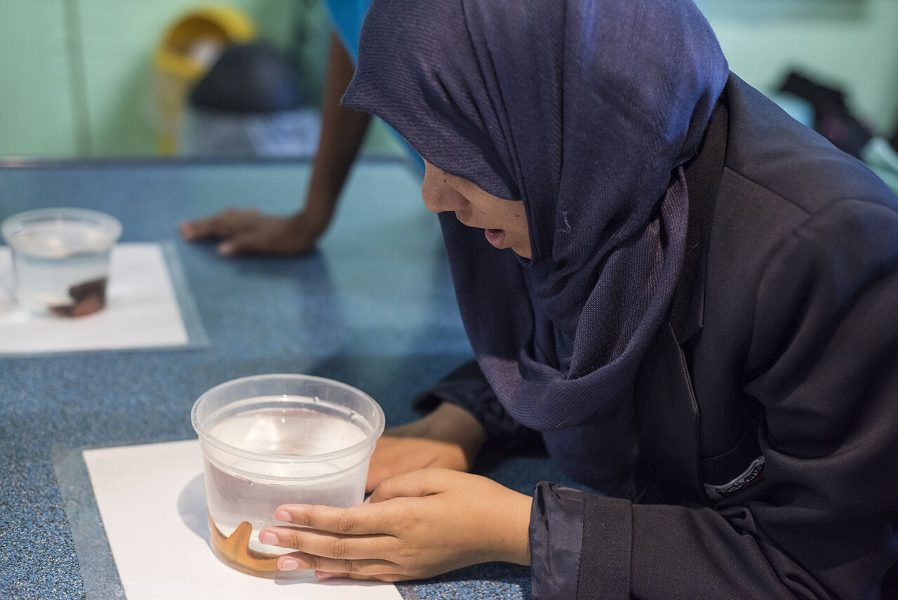 Back to school special 2022: discount on school group lessons at the aquarium!