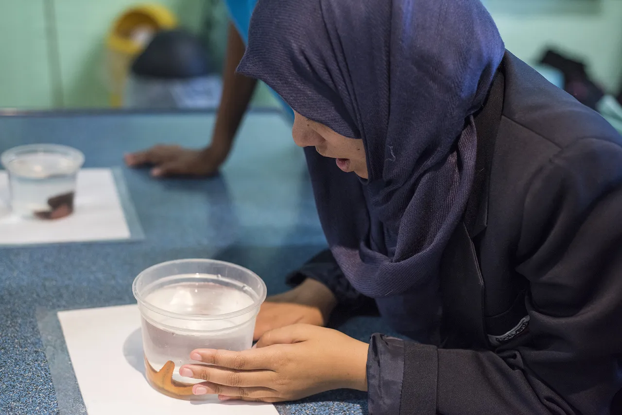 Back to school special 2022: discount on school group lessons at the aquarium!