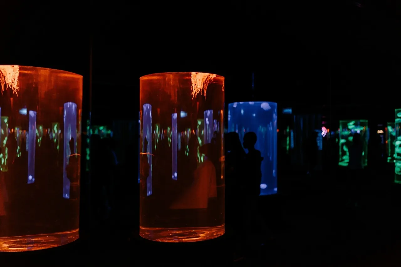 Two Oceans Aquarium20 1