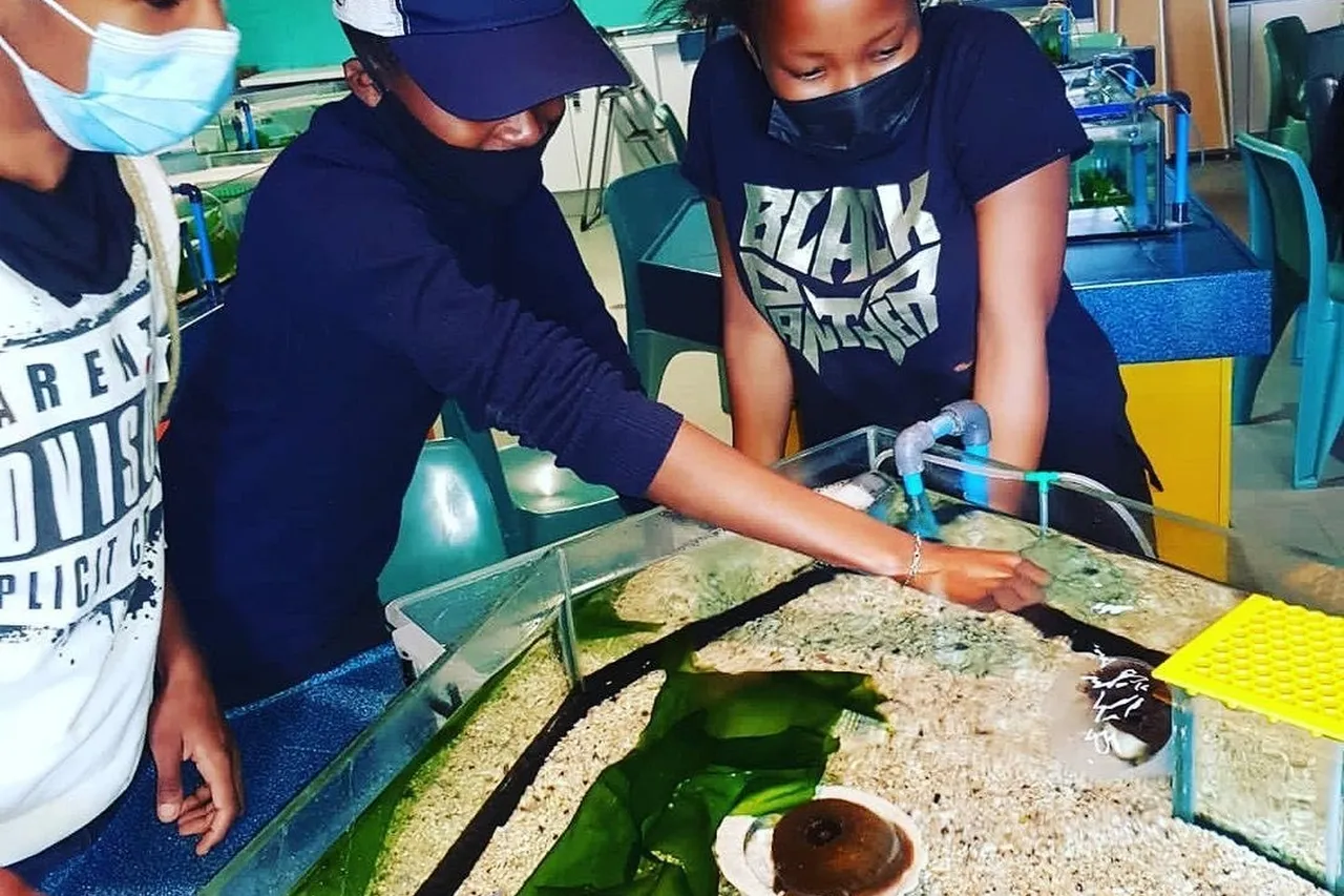 Aquariumfoundation 246453566 278530880848491 5373195702665911863 n