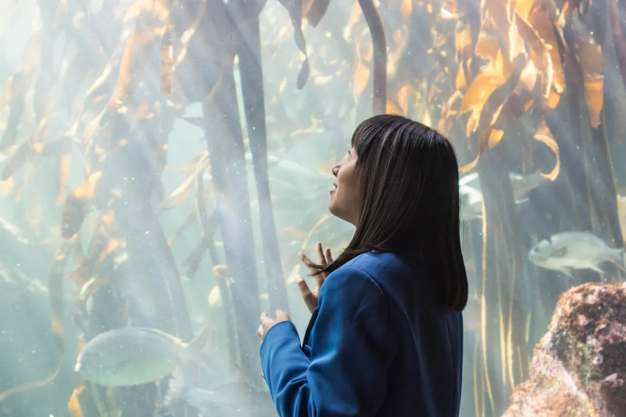 Two Oceans Aquarium Jan 2015 LR 039