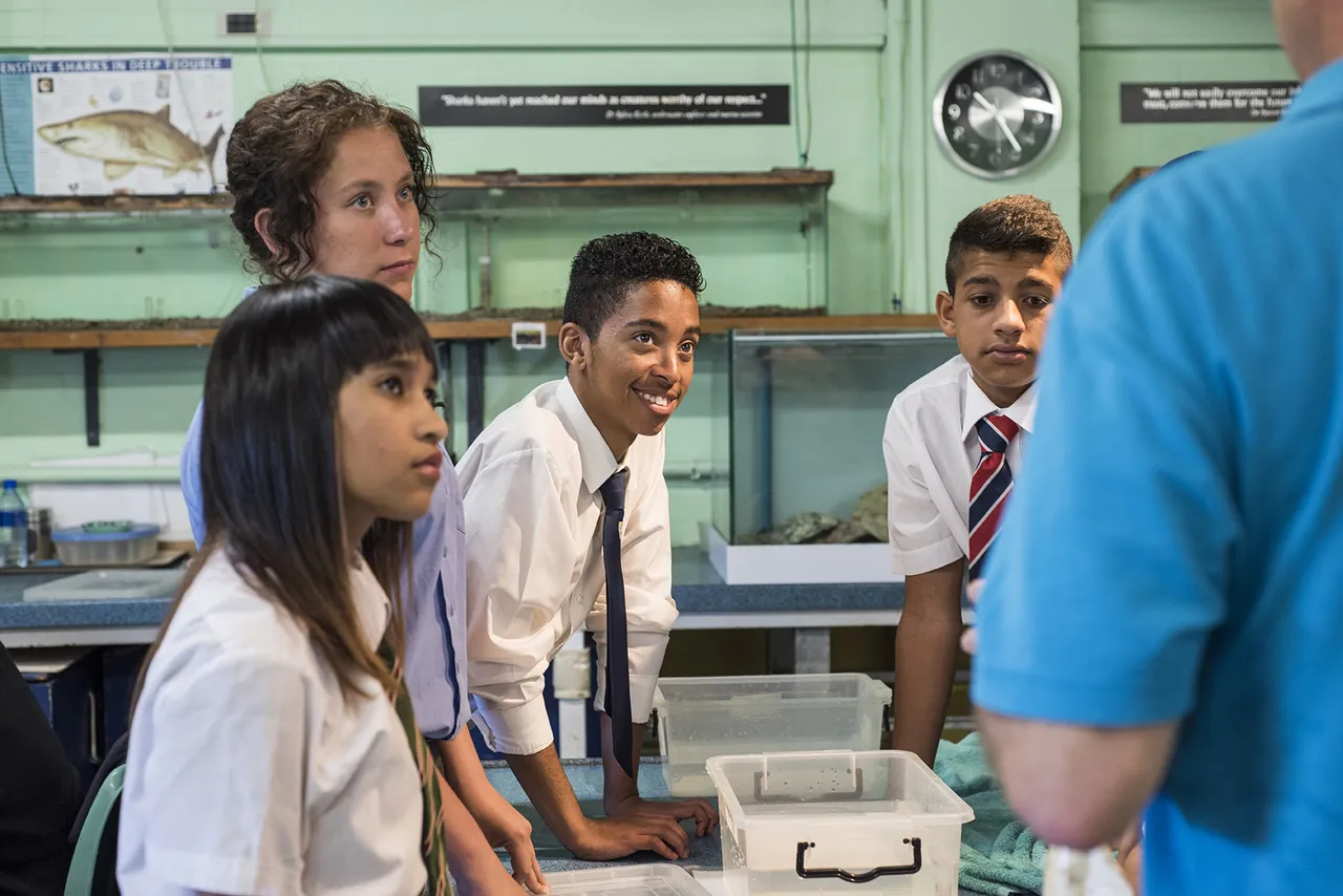 Free course for grade 10, 11 & 12s: applications for fet marine biology course now open