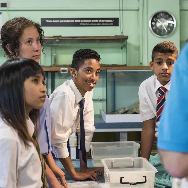 Two Oceans Aquarium: Media pack