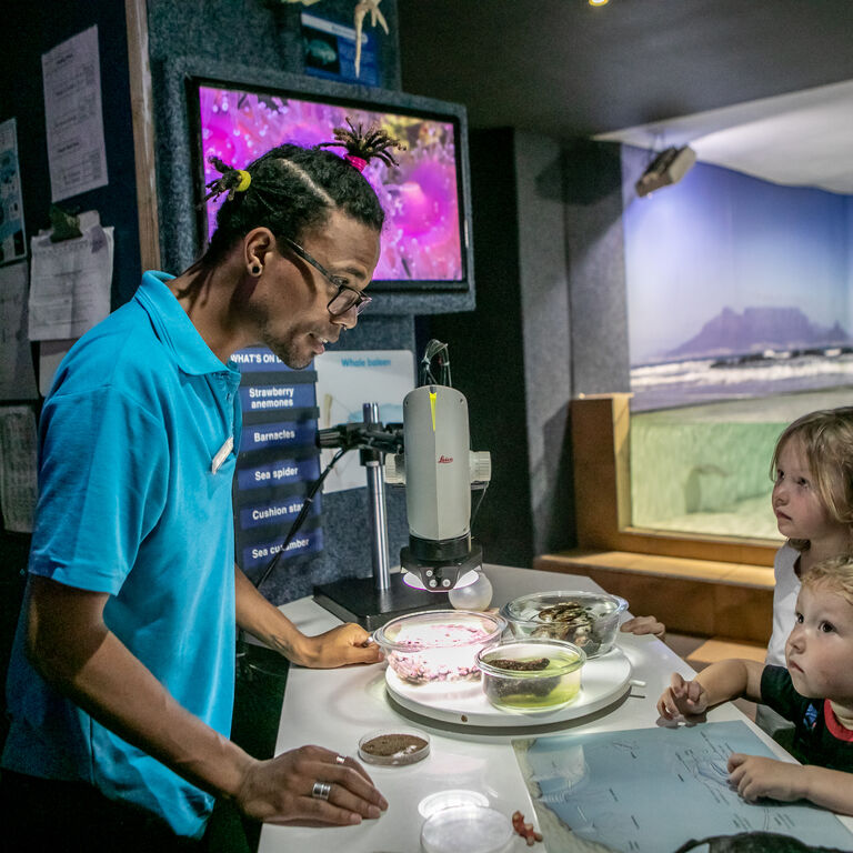 Two Oceans Aquarium: Media pack