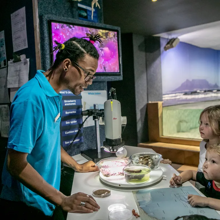 Two Oceans Aquarium: Media pack