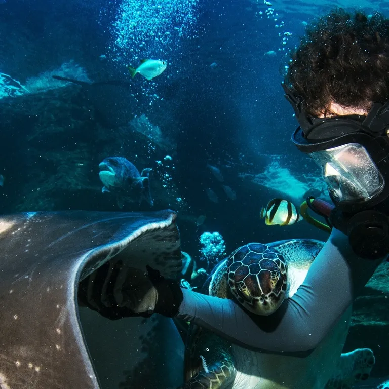 Two Oceans Aquarium: Media pack