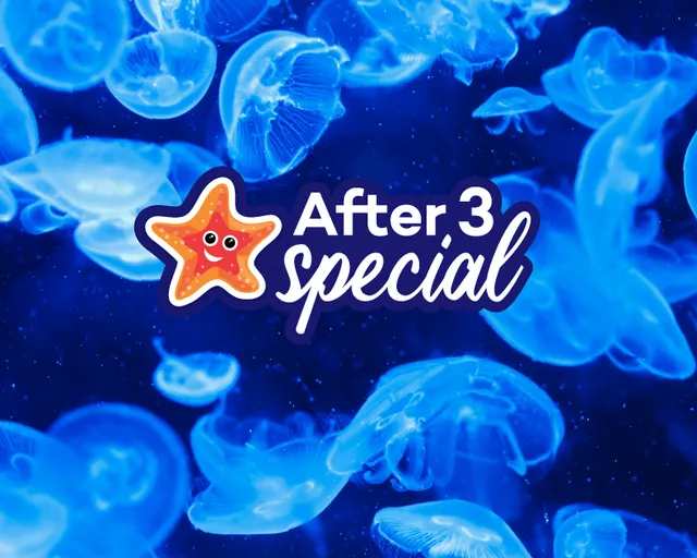 After 3 Special