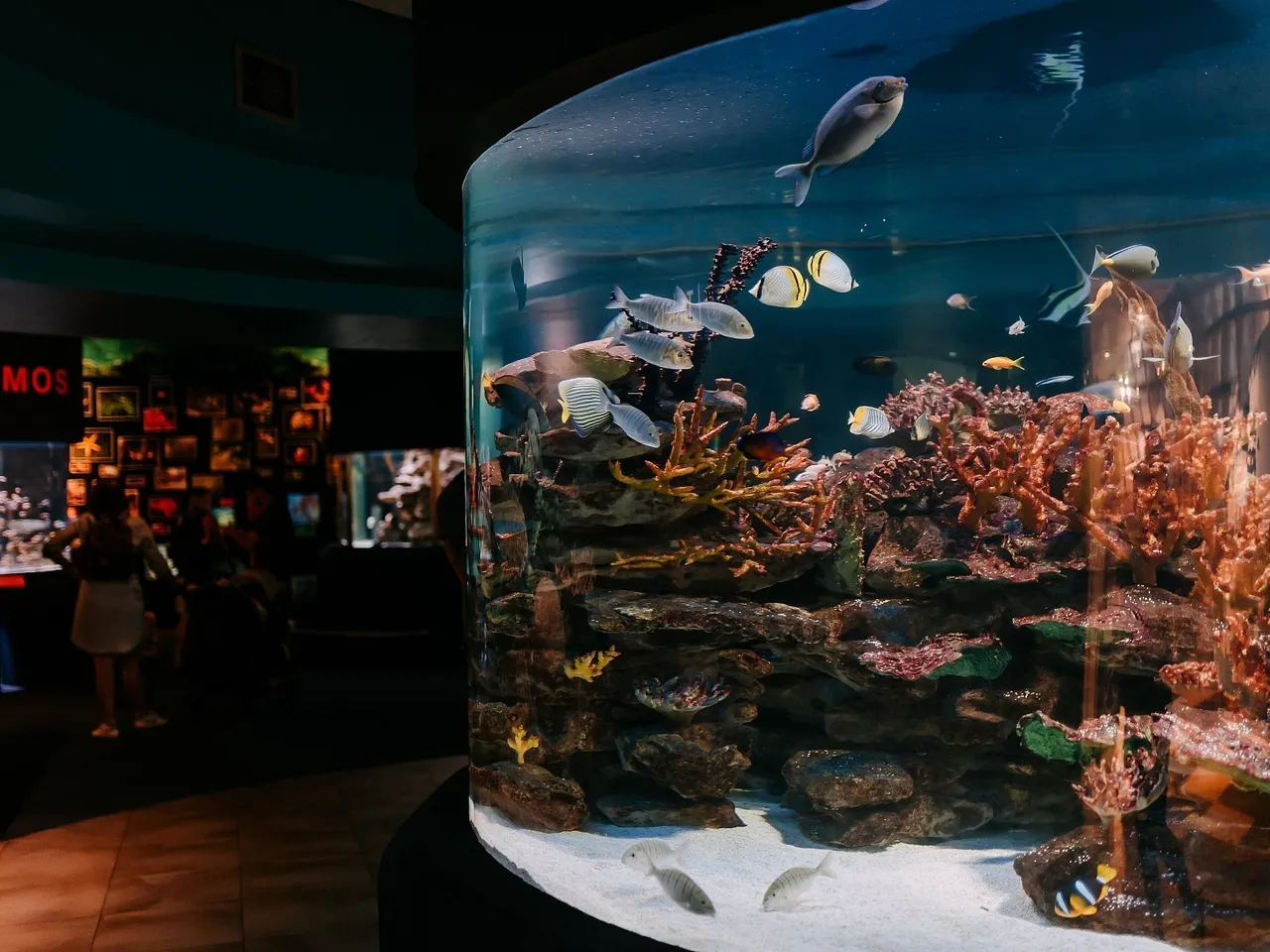 Tour Operator Portal