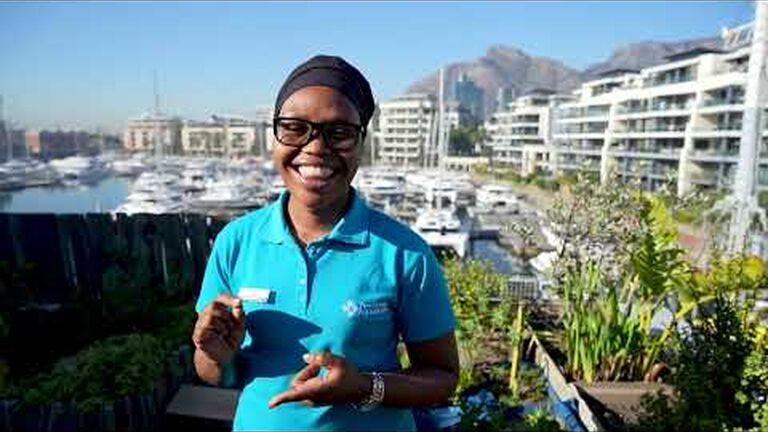 Our team shares a few small actions that they take for the good of the ocean