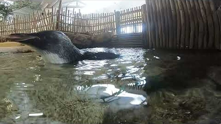 Highlights of 2021: working together to achieve more