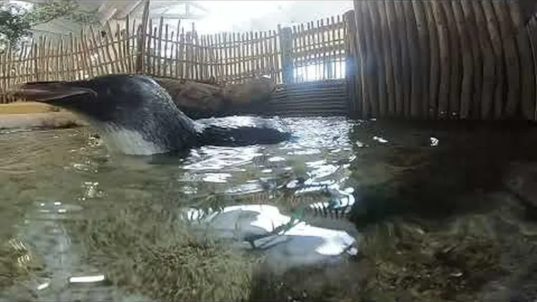 Highlights of 2021: working together to achieve more