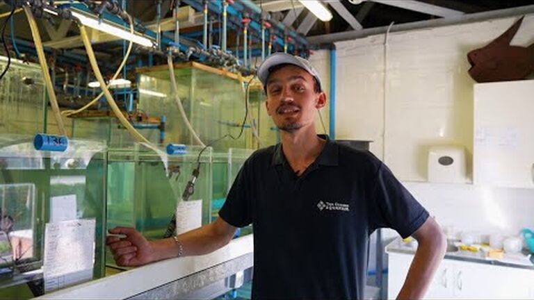 Our team shares a few small actions that they take for the good of the ocean