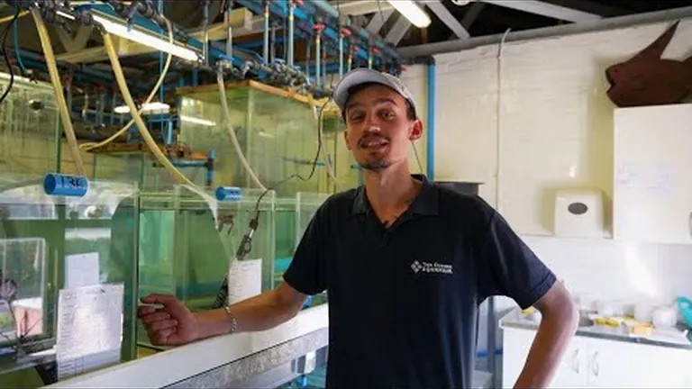 Our team shares a few small actions that they take for the good of the ocean