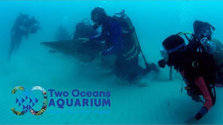 Looking back at 2024: