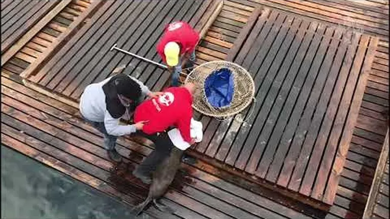 Sea you soon: buy an aquarium ticket or membership in advance of our reopening and help us keep our