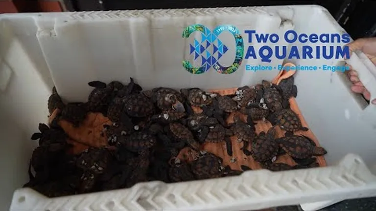 Looking back at 2024: