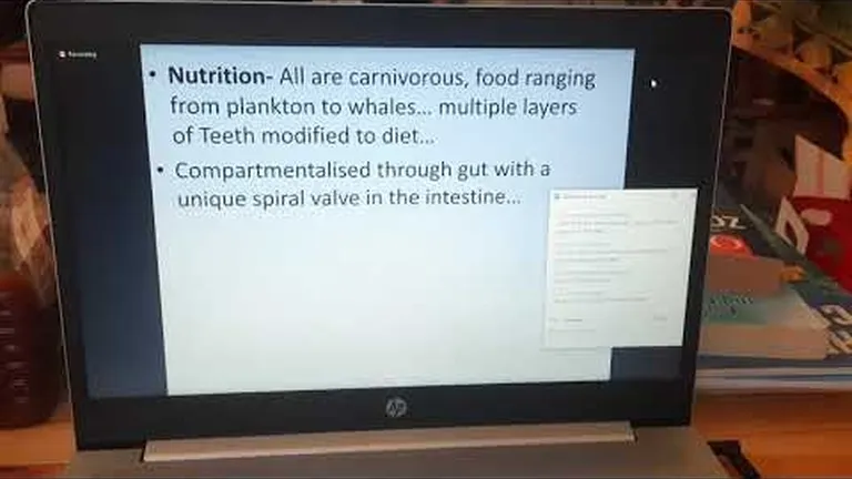 When the aquarium is closed, online education continues: fet marine biology course feedback