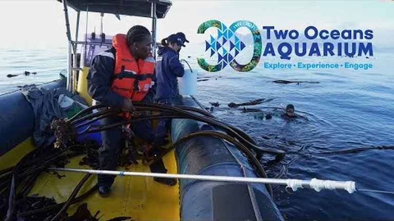 Looking back at 2024: