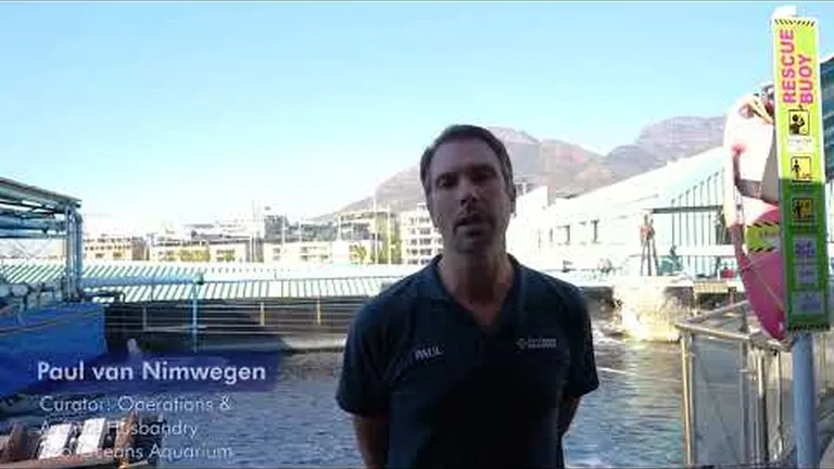 Our team shares a few small actions that they take for the good of the ocean