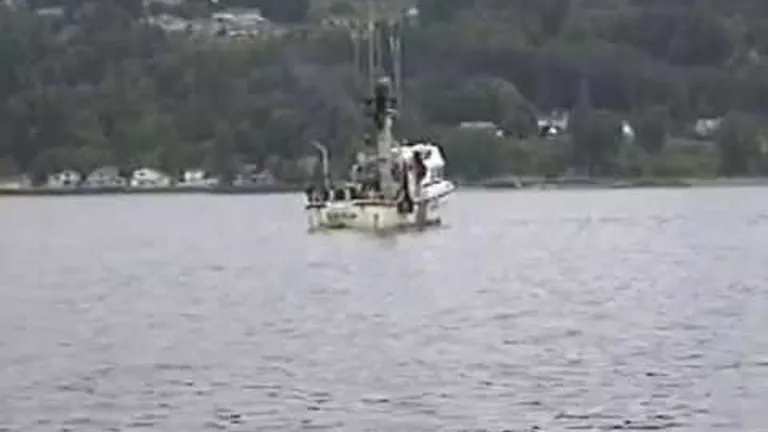 Homeschooling in the ocean: how do sea animals learn from each other