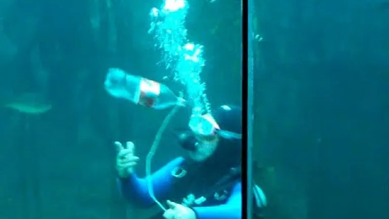 Farewell scuba instructor iain robertson!