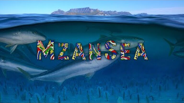 Marine protected areas | Everything you need to know about marine protected areas in south africa