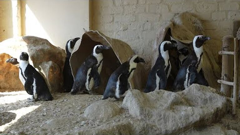 Celebrating Call to Earth Day