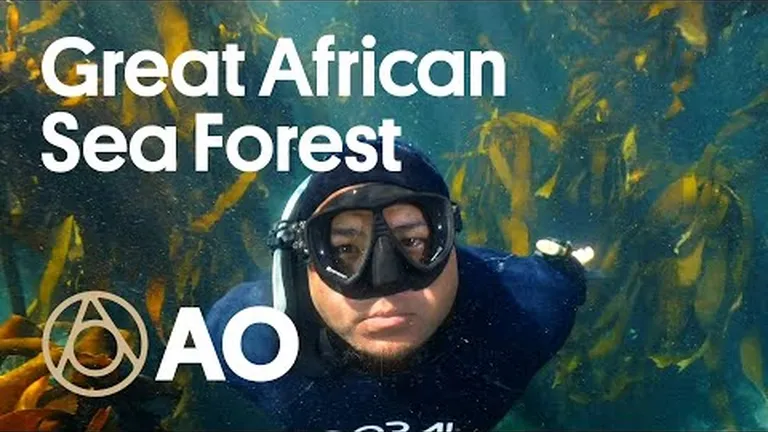 Earth day: ecosystems that can help us restore our earth