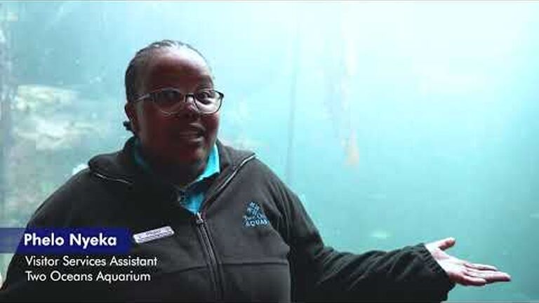 Our team shares a few small actions that they take for the good of the ocean